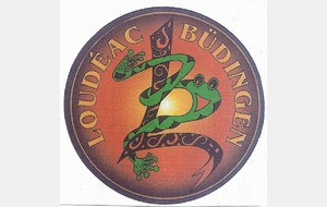 Info Triathlon Büdingen