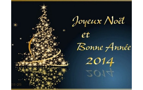 Joyeuses fêtes de fin f'année !!!