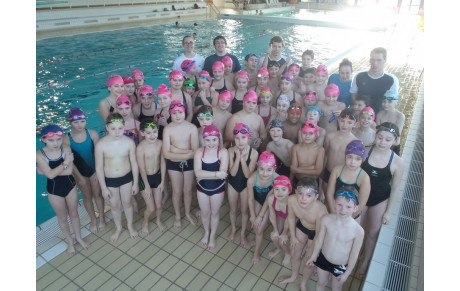 Mini stage Ecole de Natation  