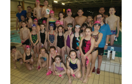 Mini stage Ecole de Natation